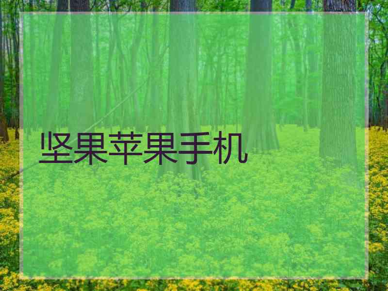 坚果苹果手机