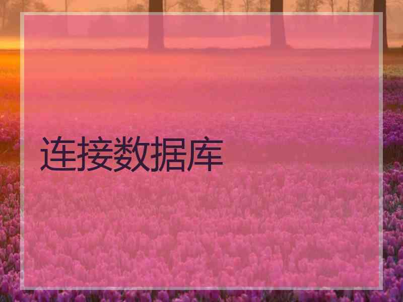 连接数据库