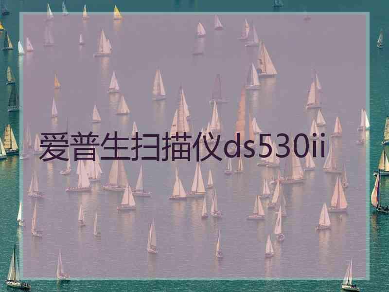 爱普生扫描仪ds530ii