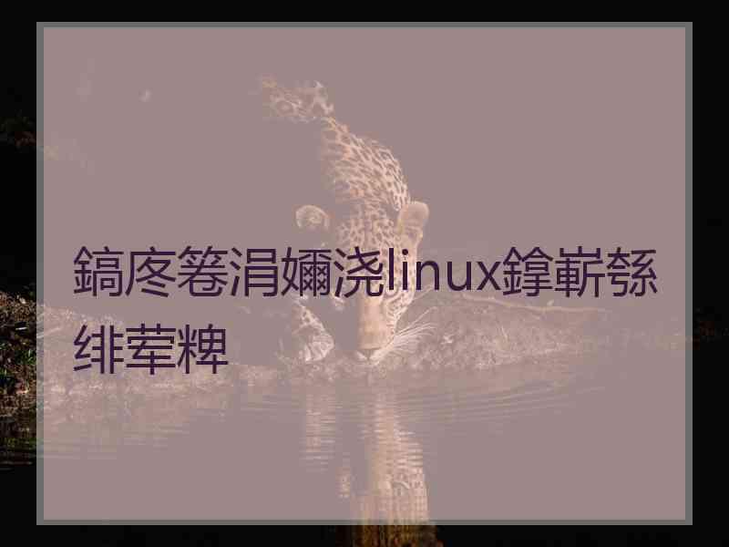 鎬庝箞涓嬭浇linux鎿嶄綔绯荤粺