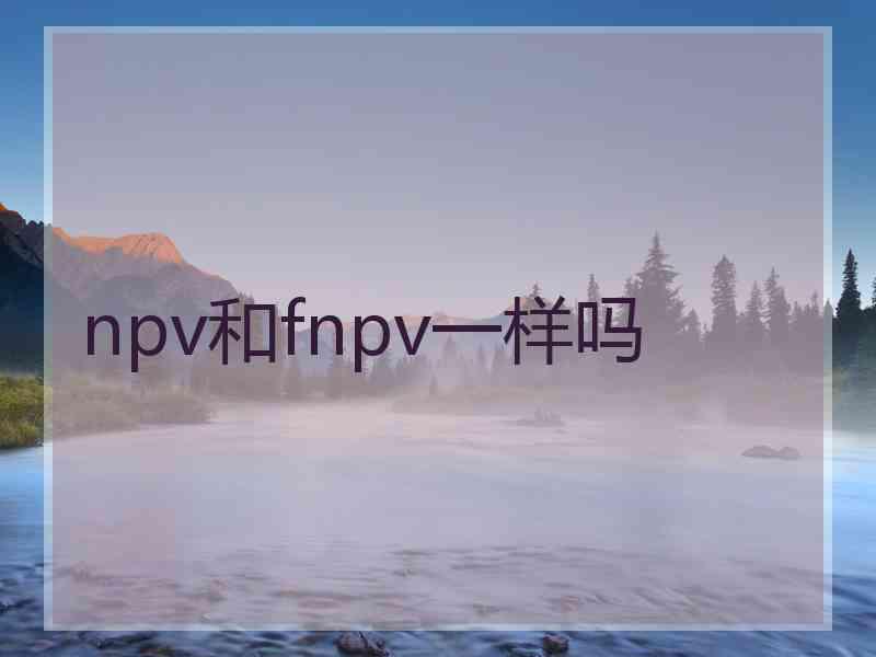 npv和fnpv一样吗