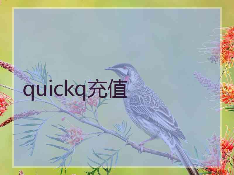 quickq充值