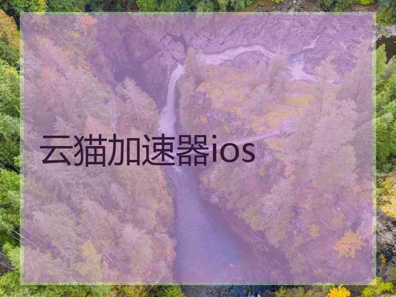 云猫加速器ios