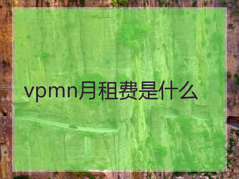 vpmn月租费是什么