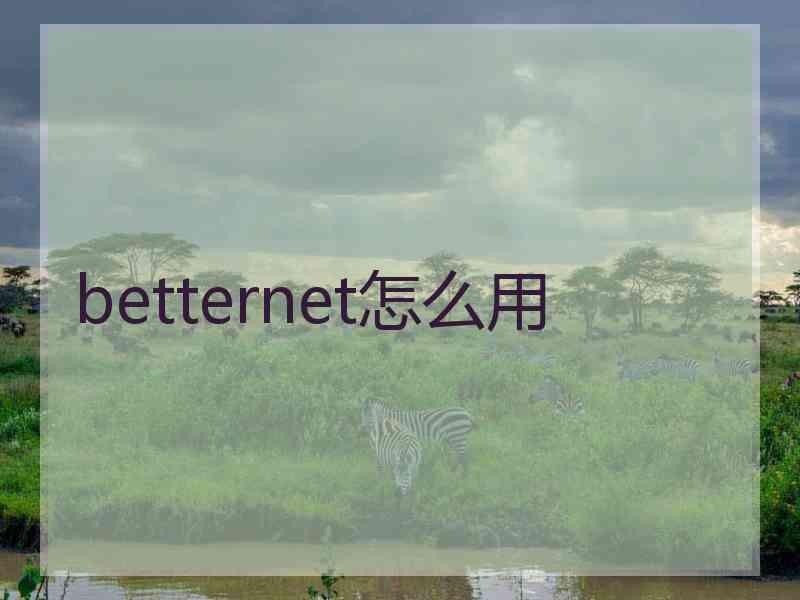 betternet怎么用