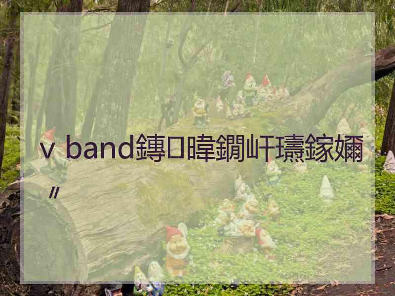 v band鏄暐鐗屽瓙鎵嬭〃