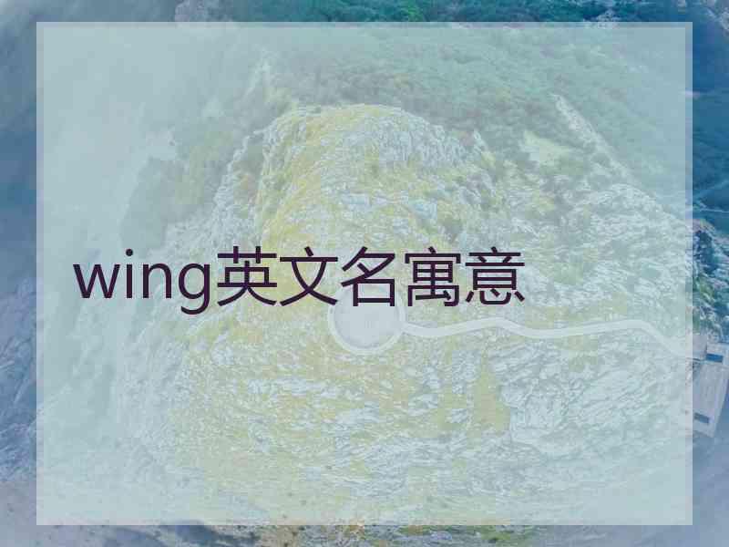 wing英文名寓意