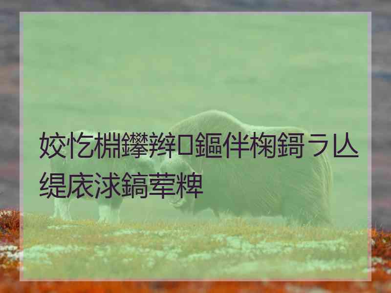 姣忔棩鑻辫鏂伴椈鎶ラ亾缇庡浗鎬荤粺