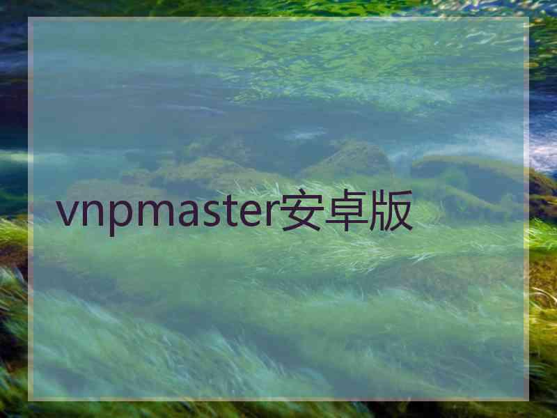 vnpmaster安卓版