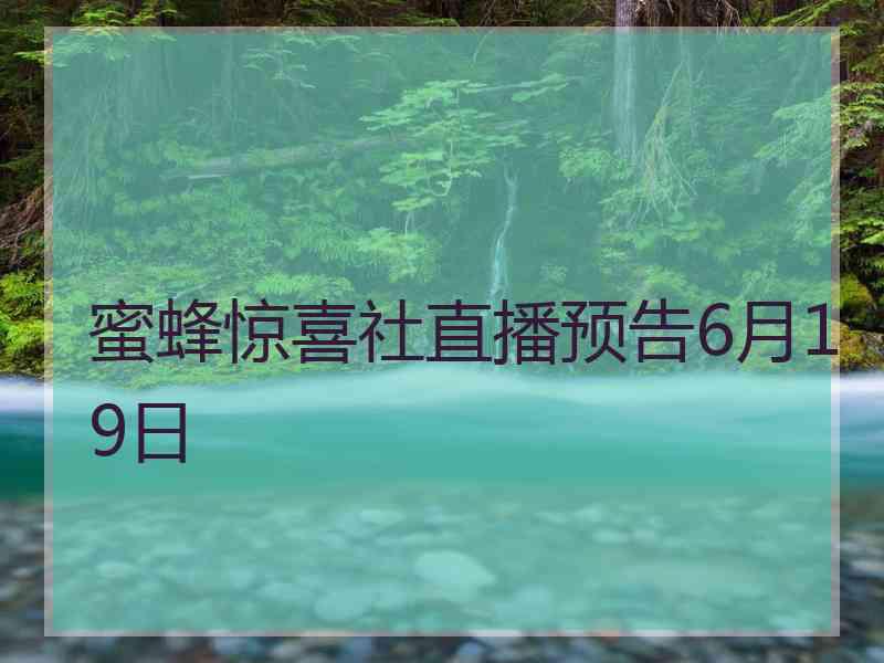 蜜蜂惊喜社直播预告6月19日