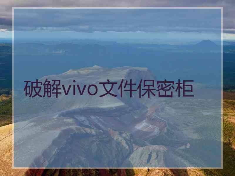 破解vivo文件保密柜