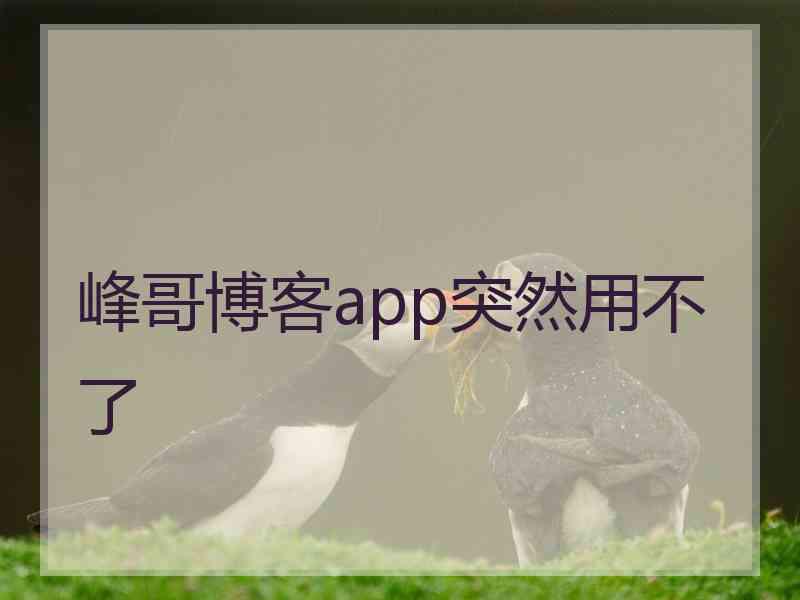 峰哥博客app突然用不了