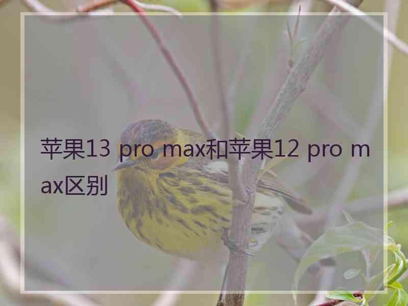 苹果13 pro max和苹果12 pro max区别