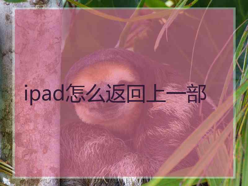 ipad怎么返回上一部