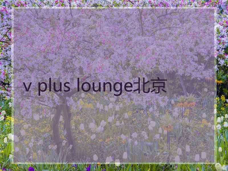 v plus lounge北京