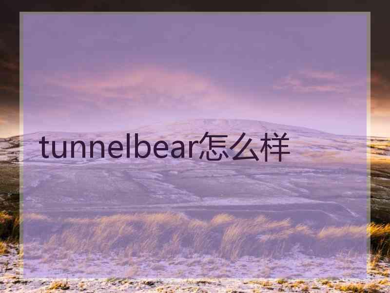 tunnelbear怎么样