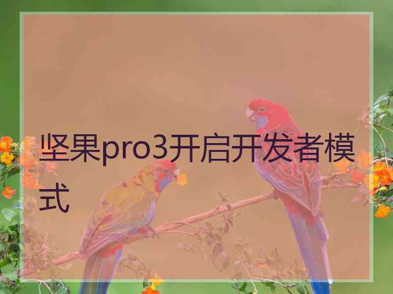 坚果pro3开启开发者模式