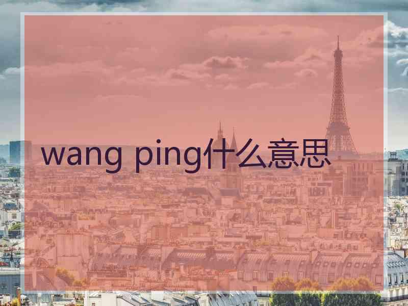 wang ping什么意思