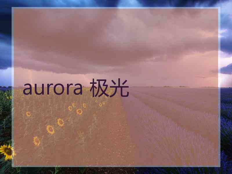 aurora 极光