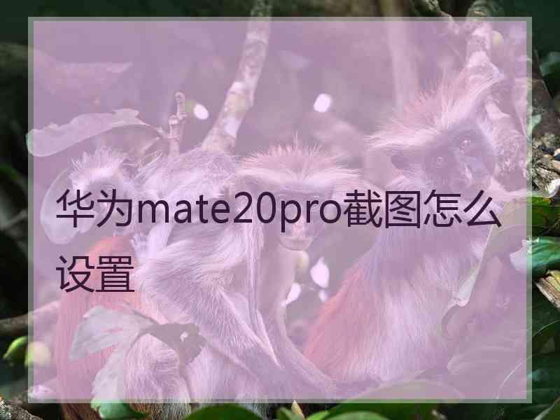 华为mate20pro截图怎么设置