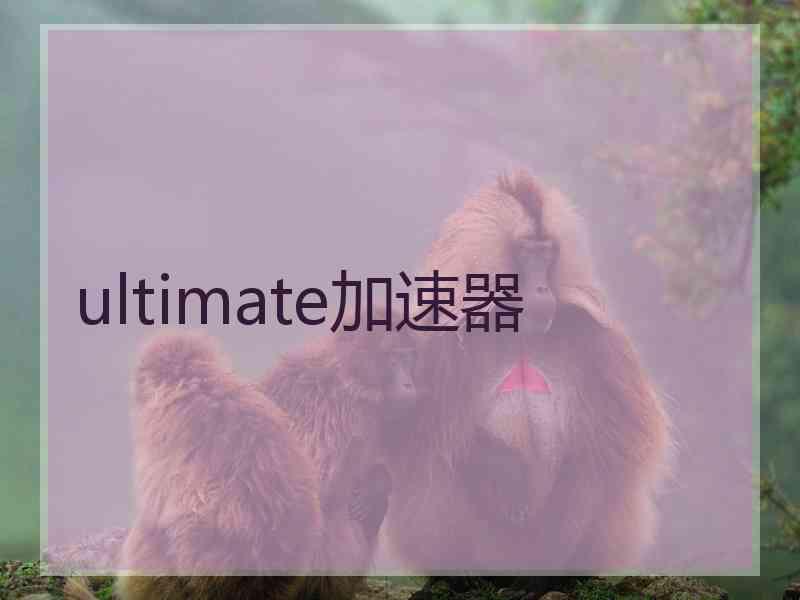 ultimate加速器