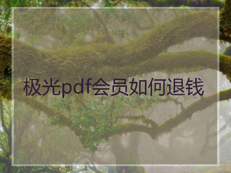 极光pdf会员如何退钱