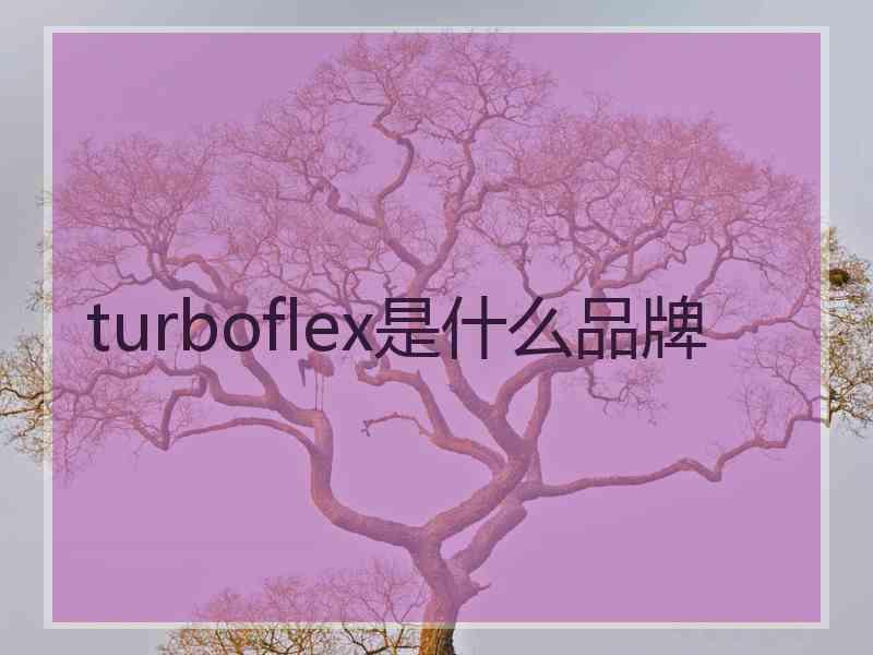 turboflex是什么品牌