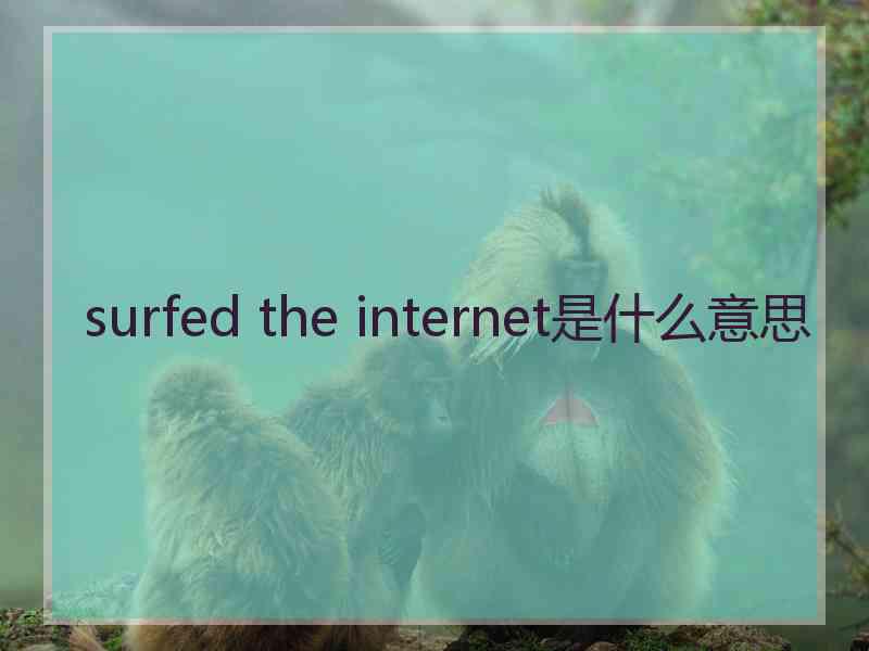 surfed the internet是什么意思