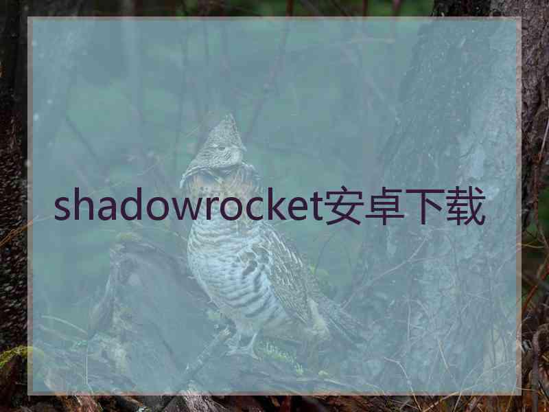 shadowrocket安卓下载