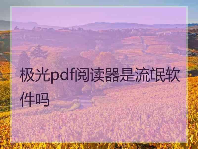 极光pdf阅读器是流氓软件吗