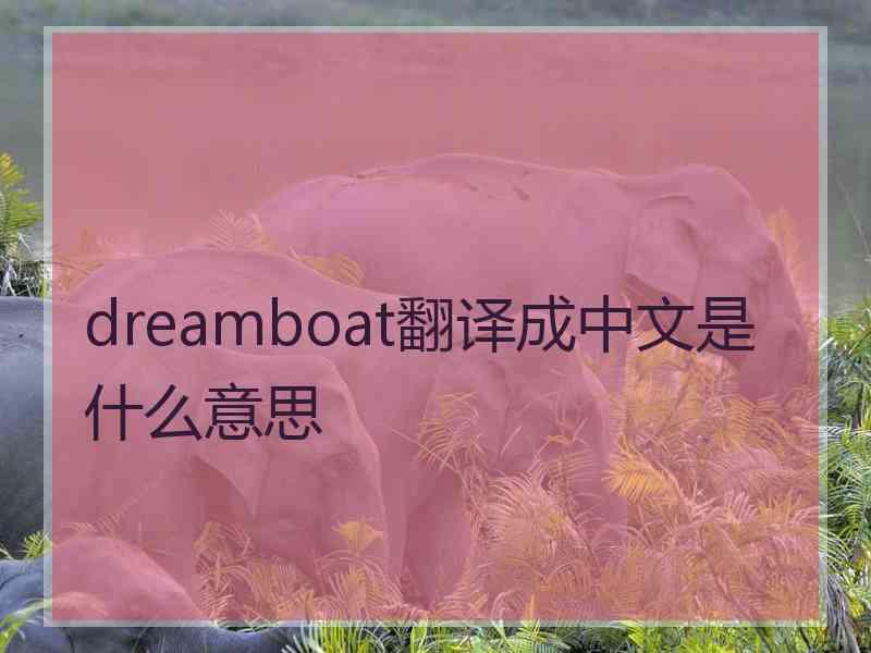 dreamboat翻译成中文是什么意思