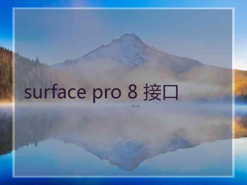 surface pro 8 接口