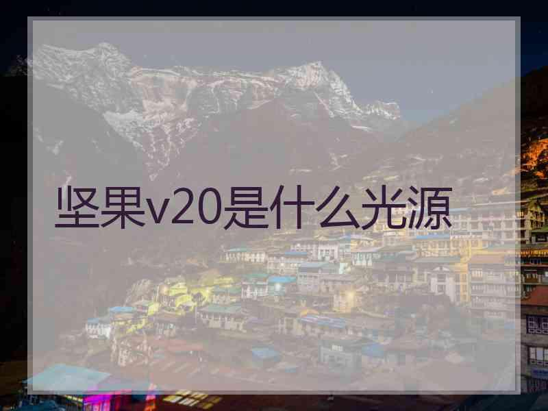 坚果v20是什么光源