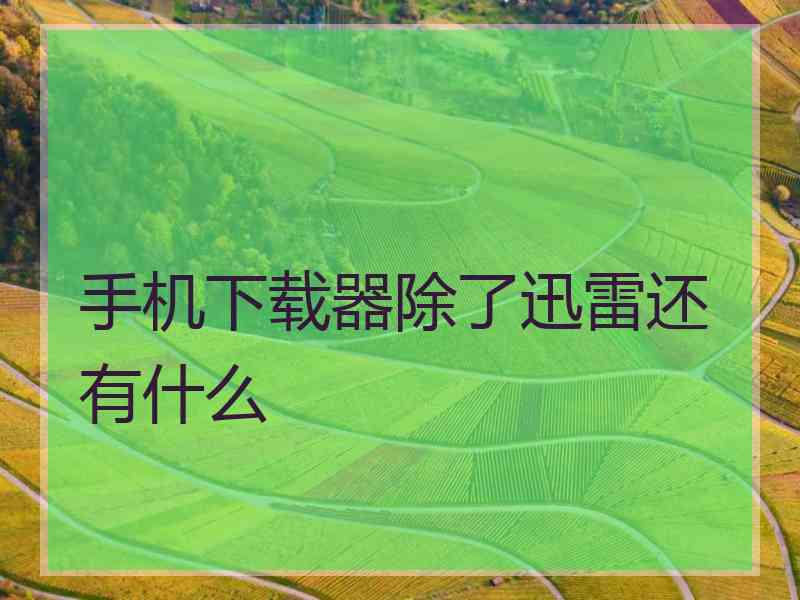 手机下载器除了迅雷还有什么