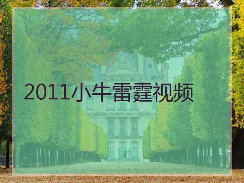 2011小牛雷霆视频