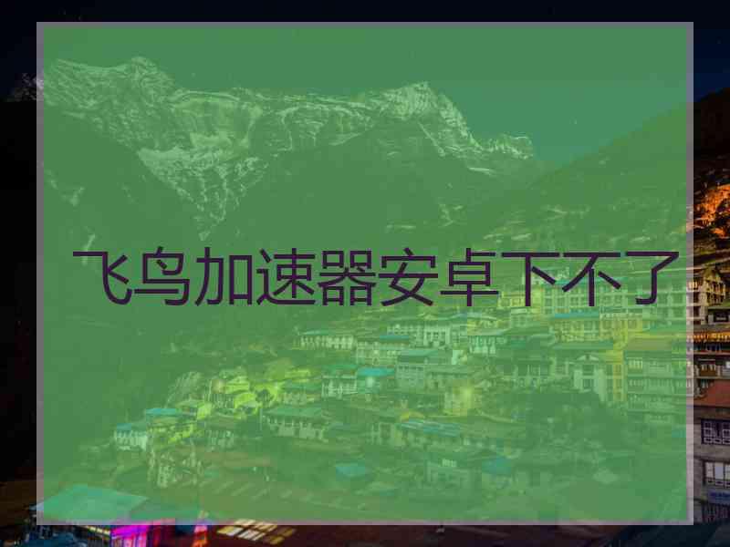 飞鸟加速器安卓下不了