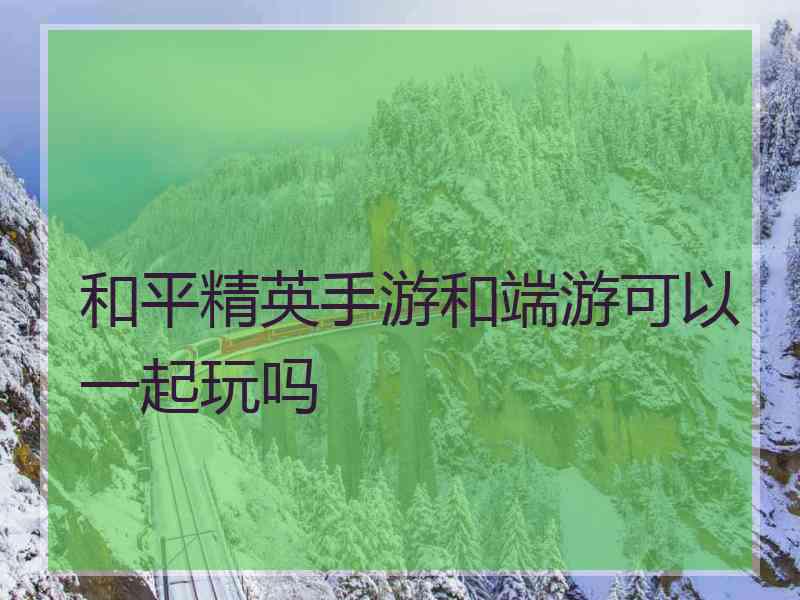 和平精英手游和端游可以一起玩吗