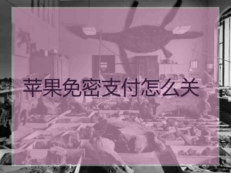 苹果免密支付怎么关