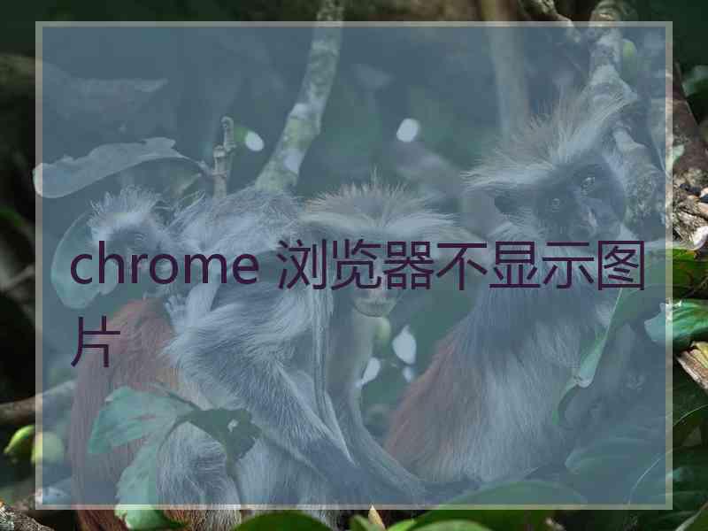 chrome 浏览器不显示图片