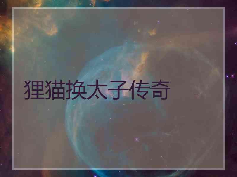 狸猫换太子传奇