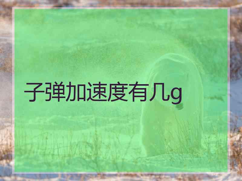 子弹加速度有几g