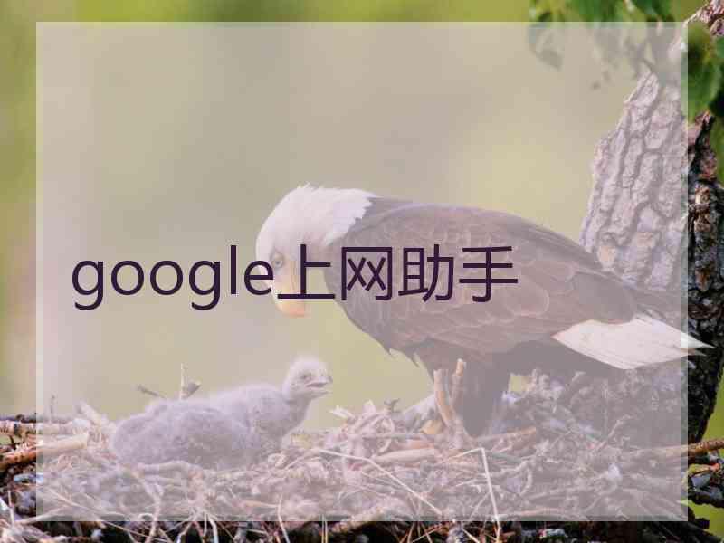 google上网助手