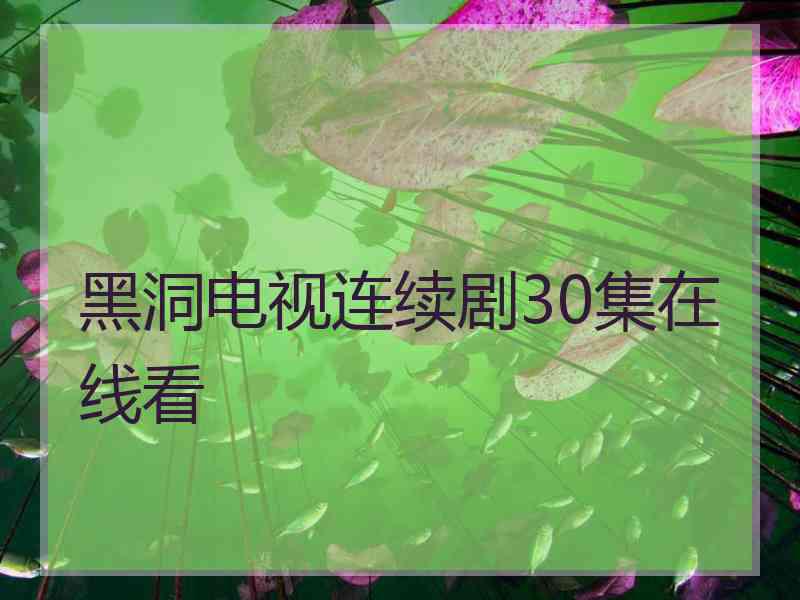 黑洞电视连续剧30集在线看