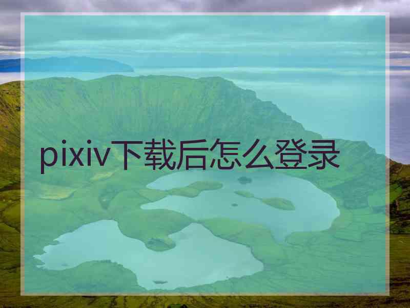 pixiv下载后怎么登录