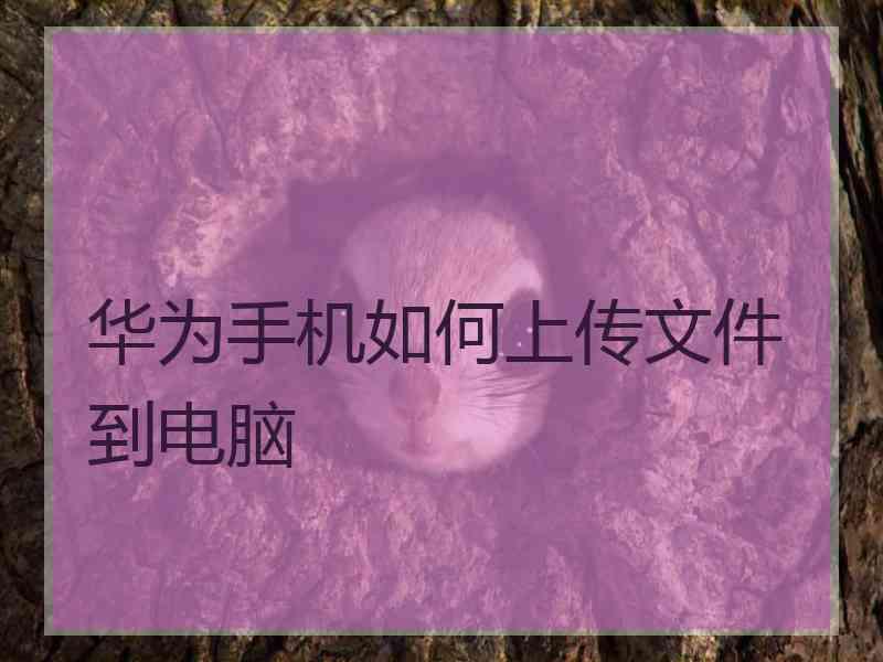 华为手机如何上传文件到电脑