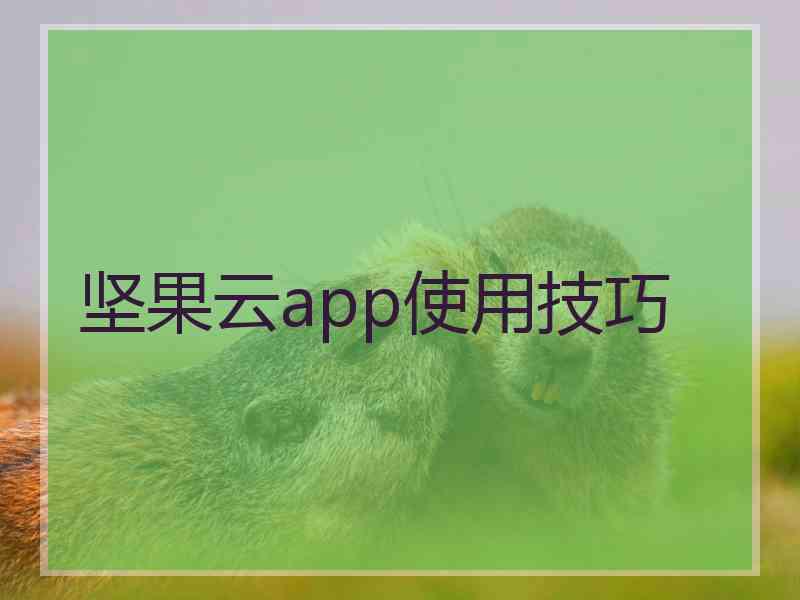 坚果云app使用技巧