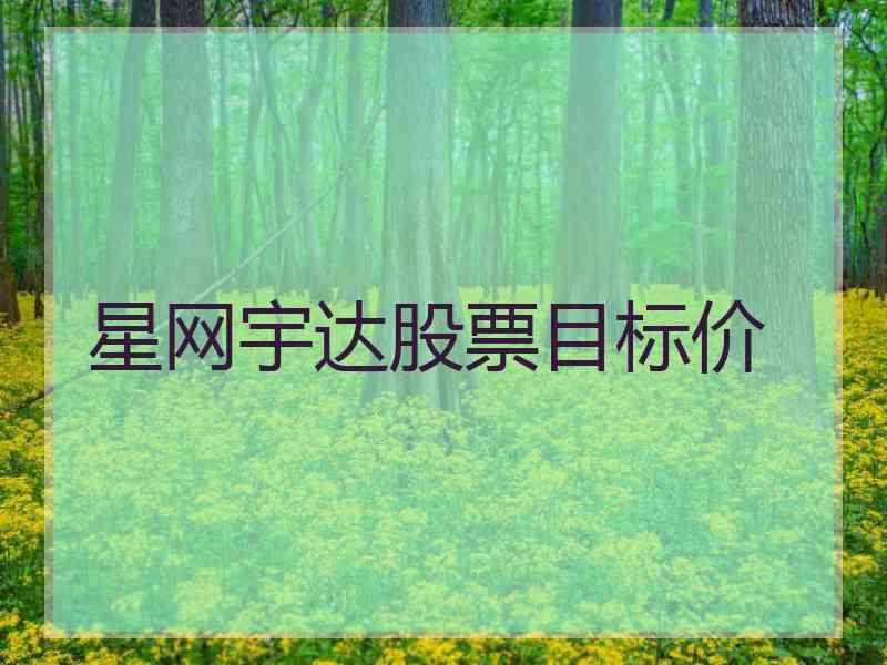 星网宇达股票目标价