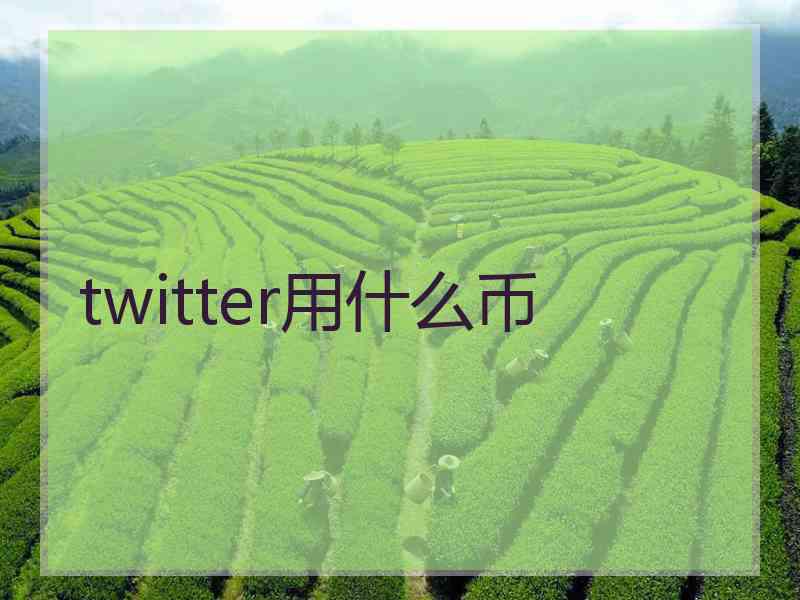 twitter用什么币