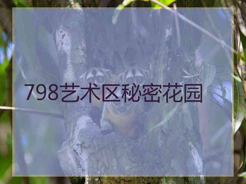 798艺术区秘密花园