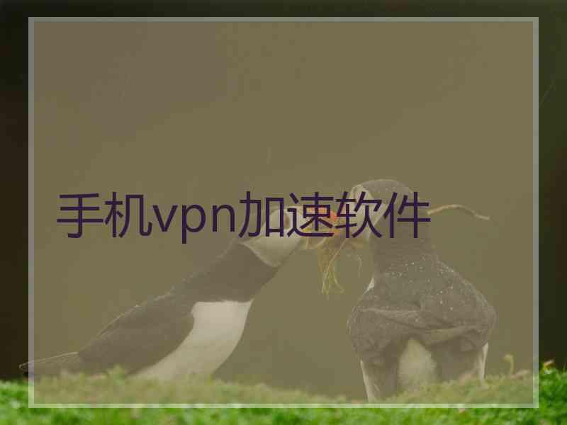 手机vpn加速软件